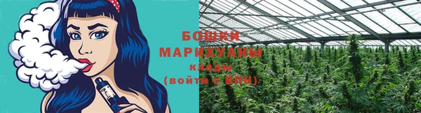 МДПВ Володарск