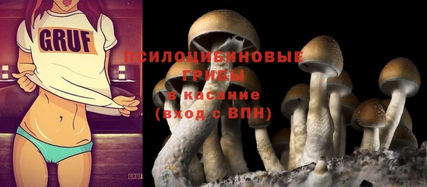 винт Вяземский