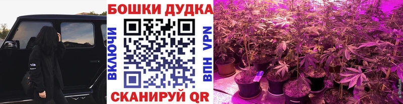 Купить закладки  Верхоянск  Бошки марихуана ГИДРОПОН 